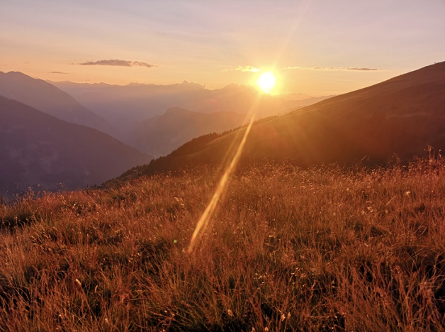 A propos Sirius Coaching