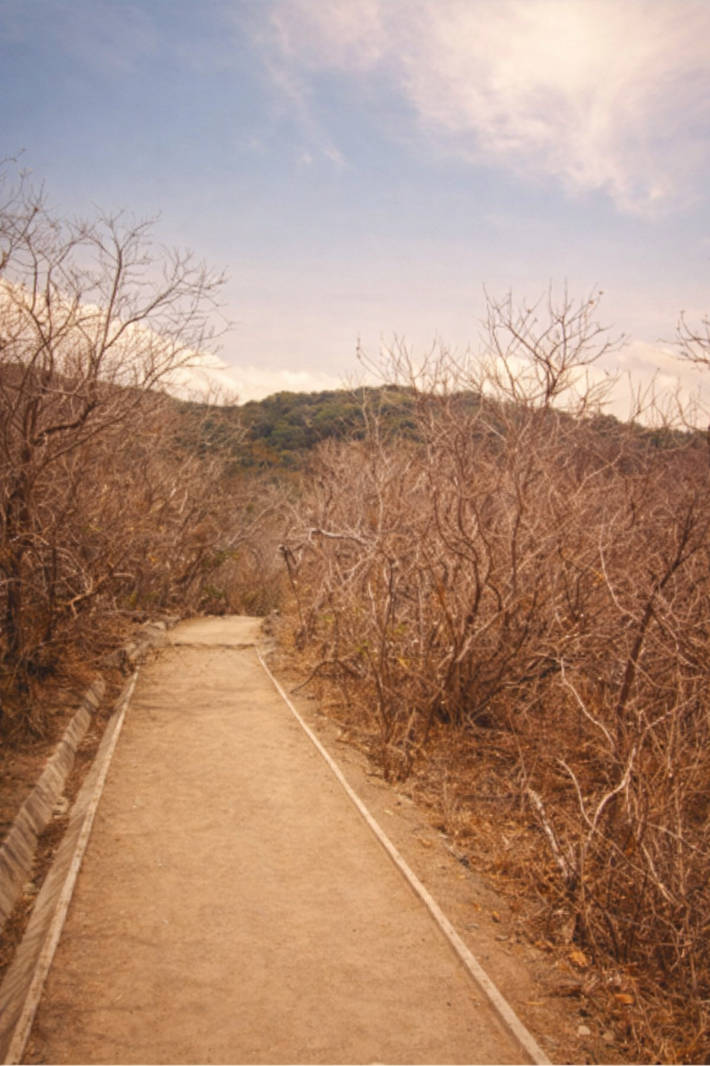 Tarifs Sirius Coaching